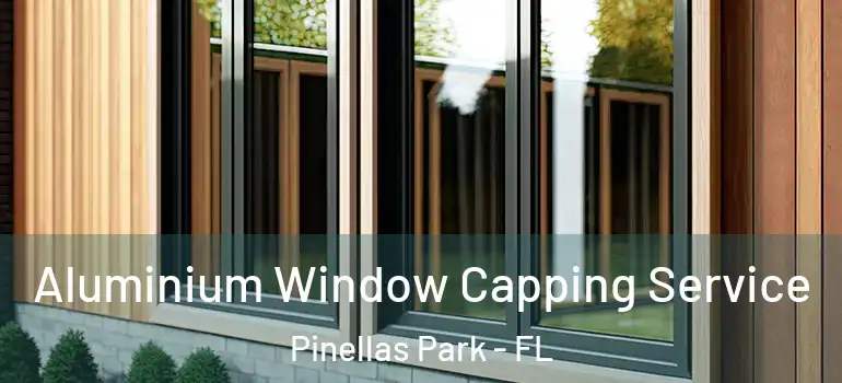  Aluminium Window Capping Service Pinellas Park - FL