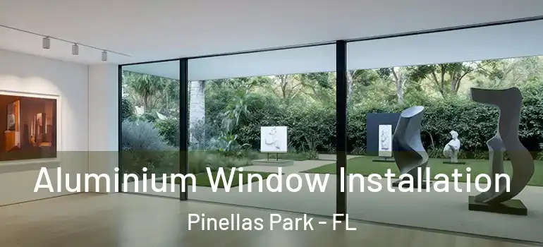  Aluminium Window Installation Pinellas Park - FL