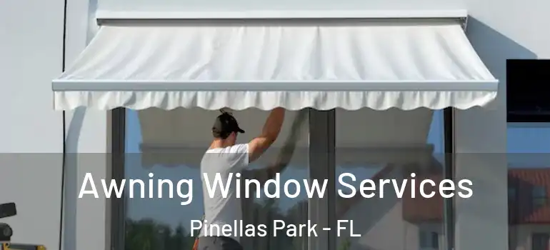  Awning Window Services Pinellas Park - FL