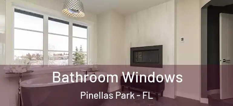  Bathroom Windows Pinellas Park - FL