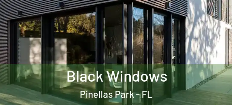  Black Windows Pinellas Park - FL