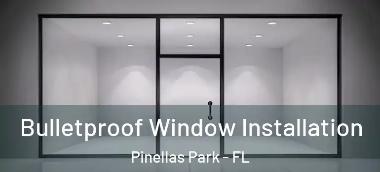  Bulletproof Window Installation Pinellas Park - FL