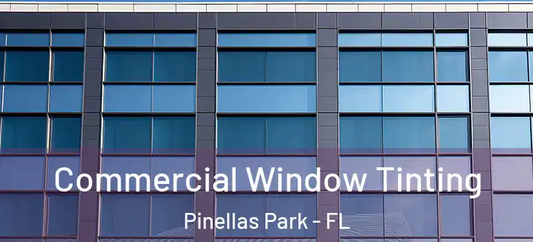  Commercial Window Tinting Pinellas Park - FL