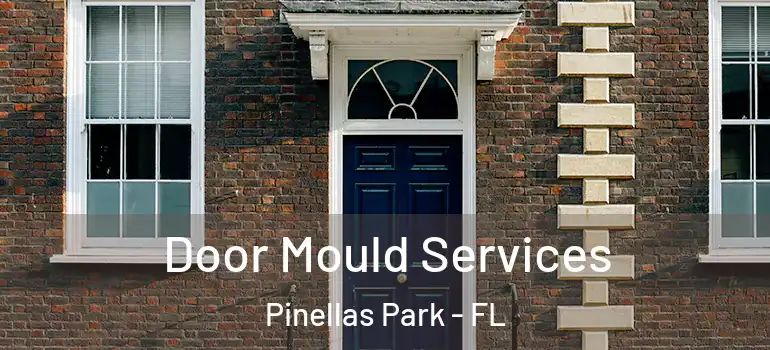  Door Mould Services Pinellas Park - FL