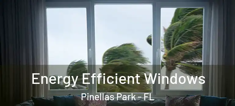  Energy Efficient Windows Pinellas Park - FL