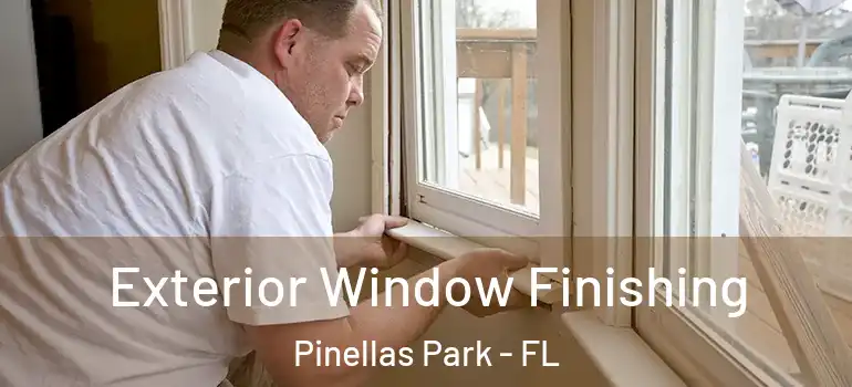 Exterior Window Finishing Pinellas Park - FL