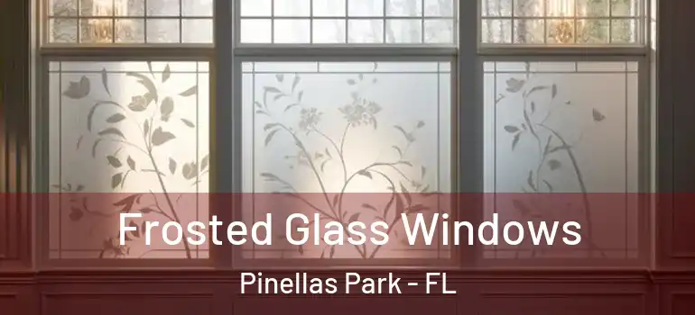  Frosted Glass Windows Pinellas Park - FL