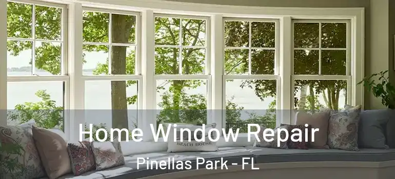  Home Window Repair Pinellas Park - FL