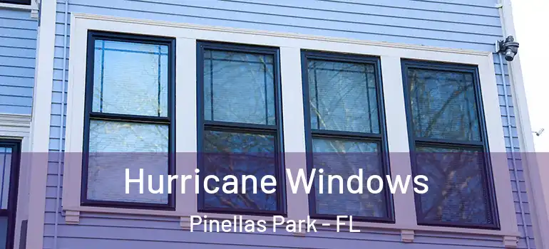  Hurricane Windows Pinellas Park - FL