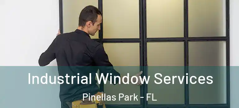  Industrial Window Services Pinellas Park - FL