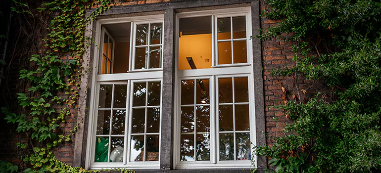 Energy Efficient Wood Windows in Pinellas Park, FL
