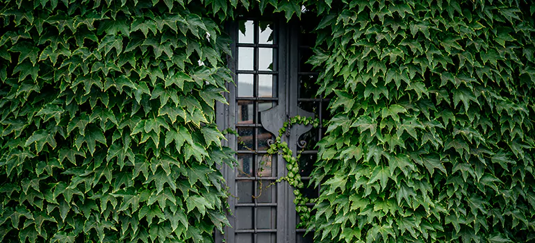 Garden Gate Repair in Pinellas Park, FL
