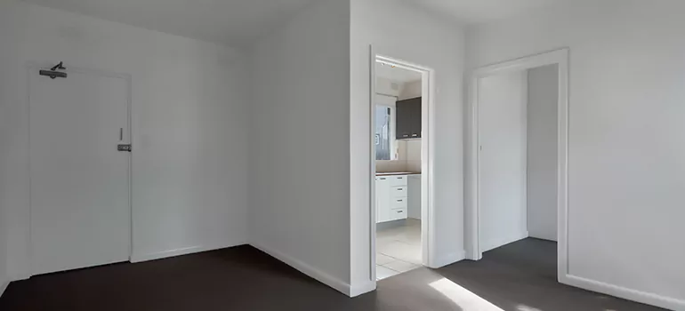 Dark Interior Doors in Pinellas Park, FL