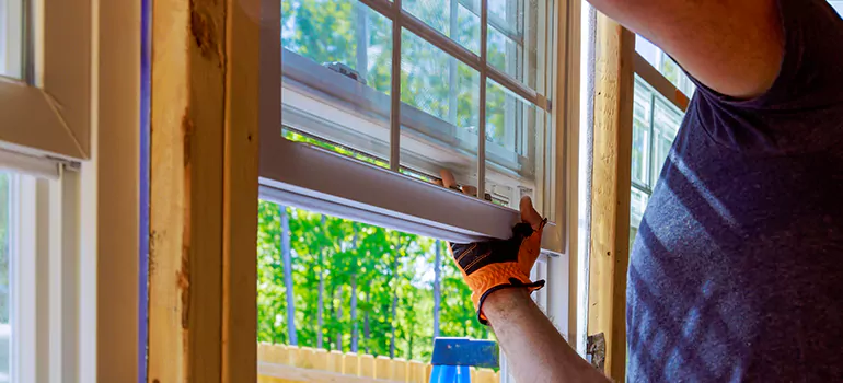 Decorative Window Film Services in Pinellas Park, FL
