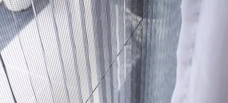 Fixing Screen Window Mesh in Pinellas Park, FL