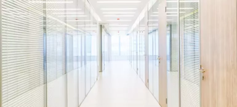 Frosted Glass Windows Replacement in Pinellas Park, FL