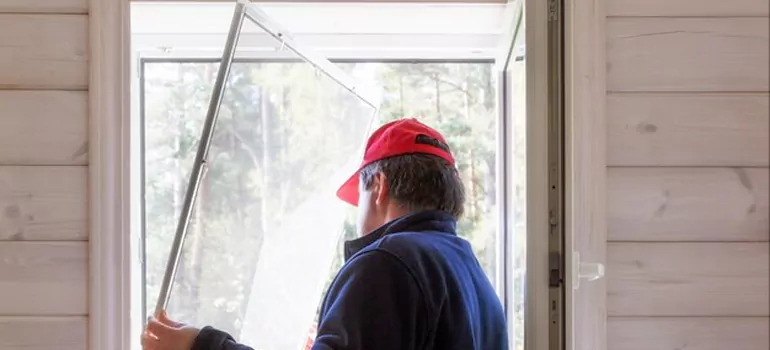 Expandable Window Screen Installation in Pinellas Park, FL