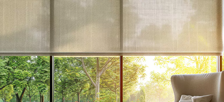 Custom Window Shades in Pinellas Park, FL