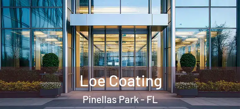 Loe Coating Pinellas Park - FL