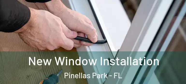  New Window Installation Pinellas Park - FL