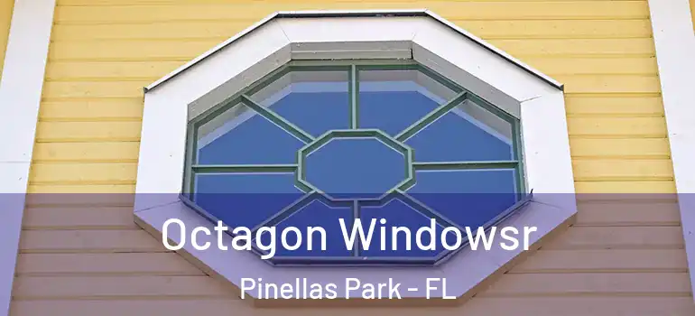  Octagon Windowsr Pinellas Park - FL