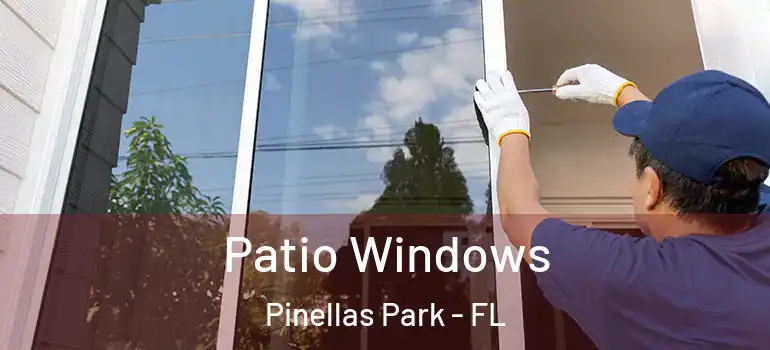  Patio Windows Pinellas Park - FL
