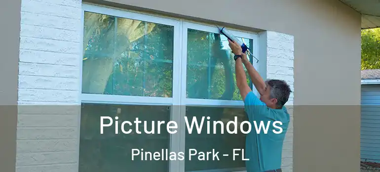  Picture Windows Pinellas Park - FL