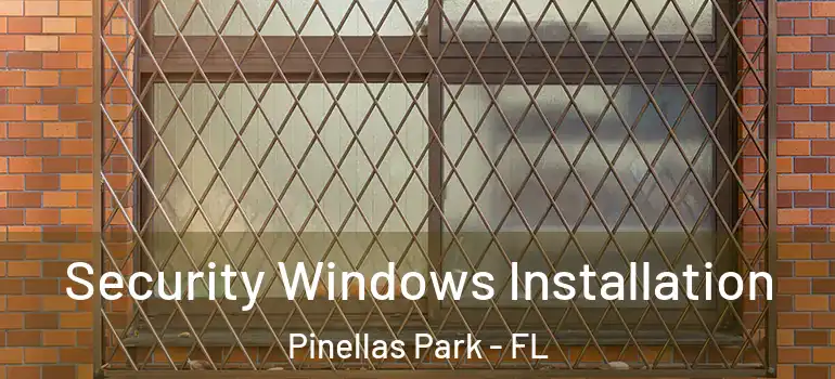  Security Windows Installation Pinellas Park - FL