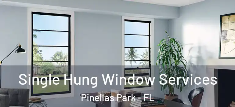  Single Hung Window Services Pinellas Park - FL