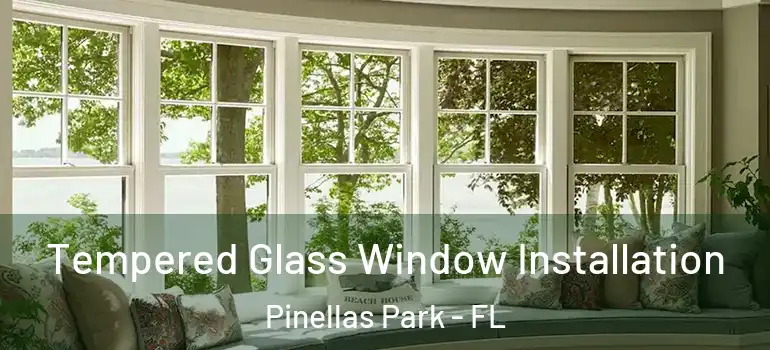 Tempered Glass Window Installation Pinellas Park - FL