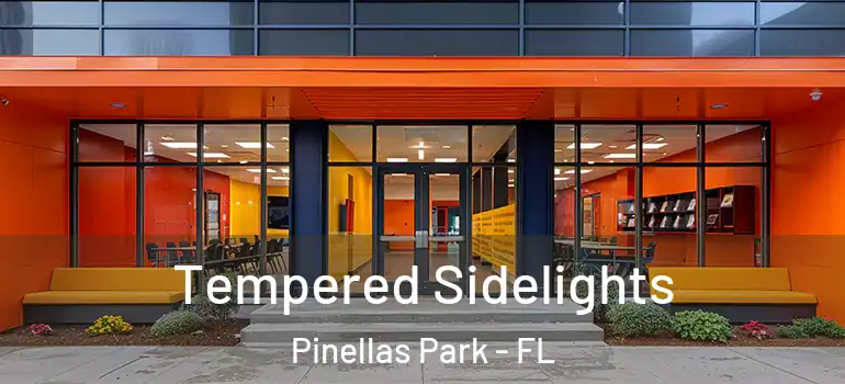  Tempered Sidelights Pinellas Park - FL