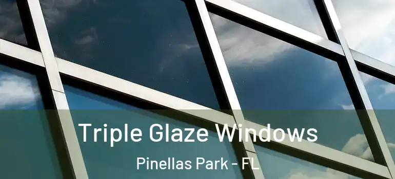  Triple Glaze Windows Pinellas Park - FL