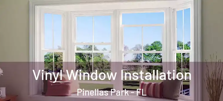  Vinyl Window Installation Pinellas Park - FL