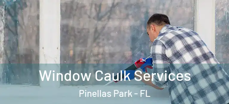  Window Caulk Services Pinellas Park - FL