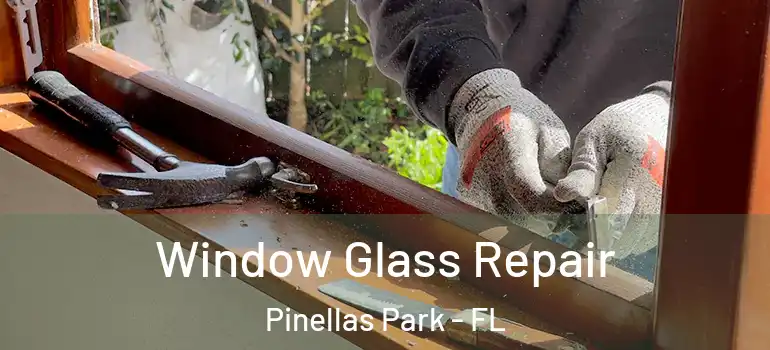  Window Glass Repair Pinellas Park - FL