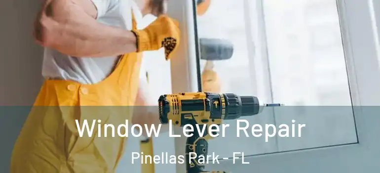 Window Lever Repair Pinellas Park - FL