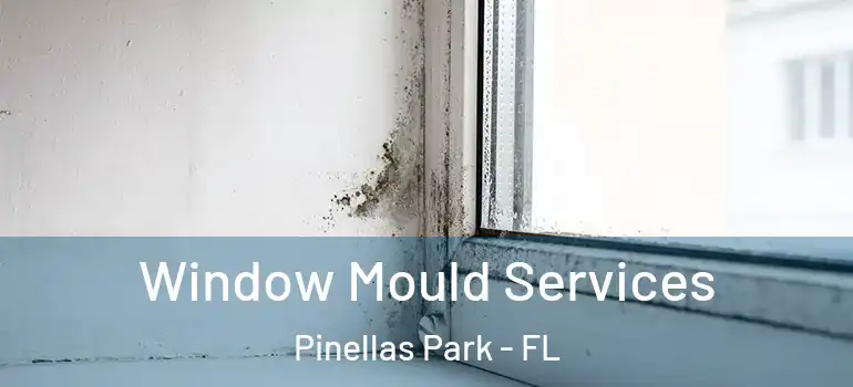  Window Mould Services Pinellas Park - FL