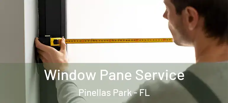  Window Pane Service Pinellas Park - FL