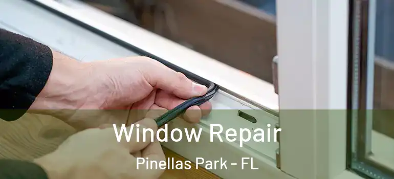  Window Repair Pinellas Park - FL