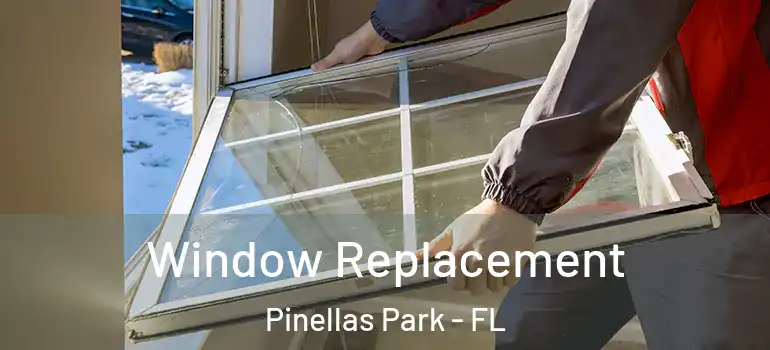  Window Replacement Pinellas Park - FL