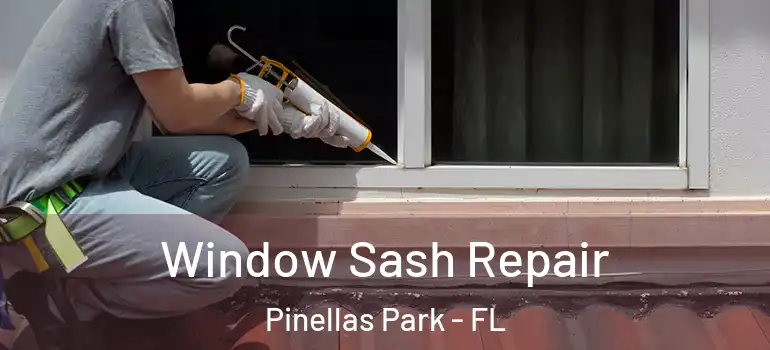  Window Sash Repair Pinellas Park - FL