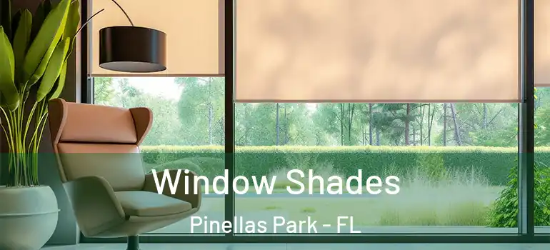  Window Shades Pinellas Park - FL