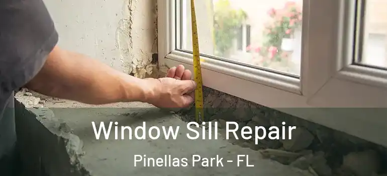  Window Sill Repair Pinellas Park - FL