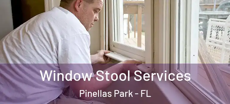  Window Stool Services Pinellas Park - FL