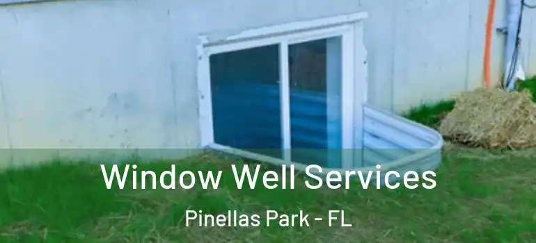  Window Well Services Pinellas Park - FL